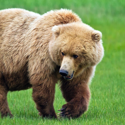 Hd-184846-ascw184846