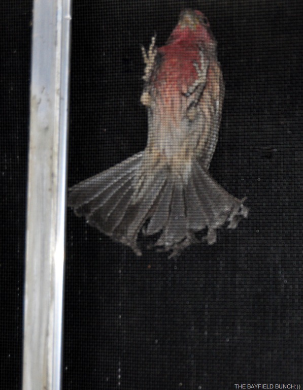 [DSC_0001%255B3%255D.jpg]