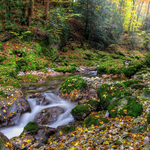 Hd-170301-ascw170301