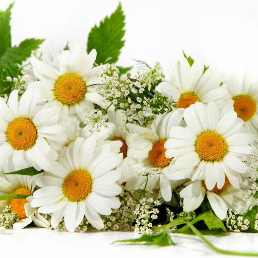 Hd-147135-ascw147135