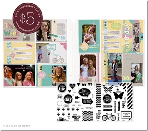 2012-9 NSM It's Your Day double stamp set SeptemberCC-ImageGallery-text