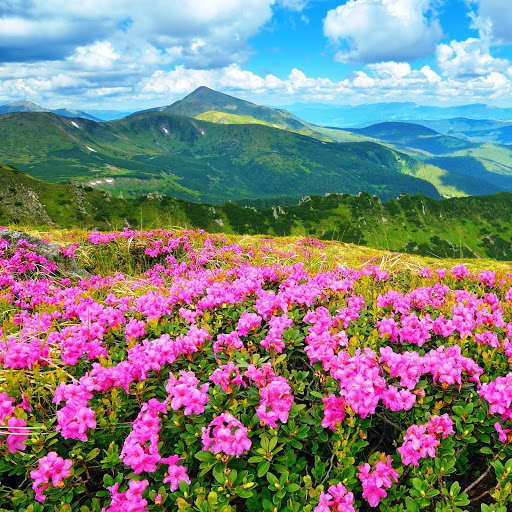 Hd-152224-ascw152224