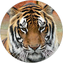 Cardinal Robbins profile picture