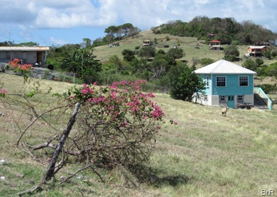 Petite_Martinique_Weide_mit_Häusern
