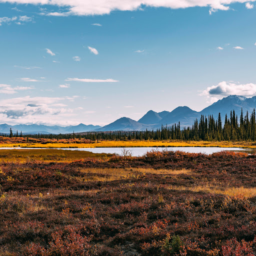 Hd-183134-ascw183134