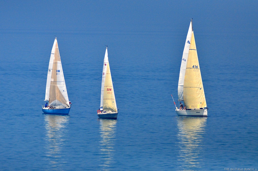 [DSC_0005-1%255B4%255D.jpg]