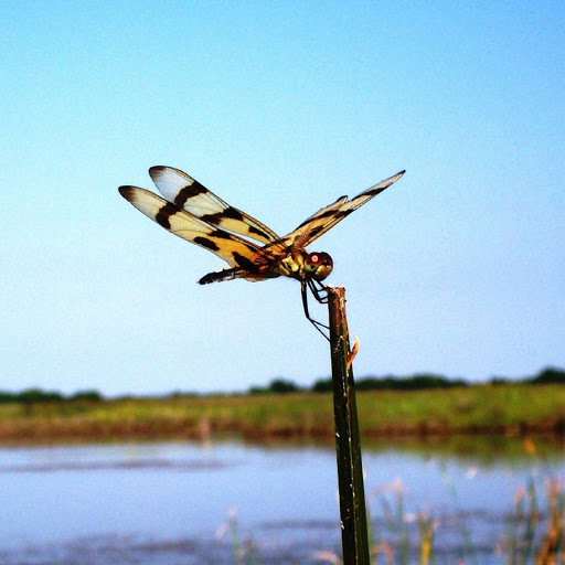 Hd-179916-ascw179916