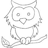 owl-1.jpg