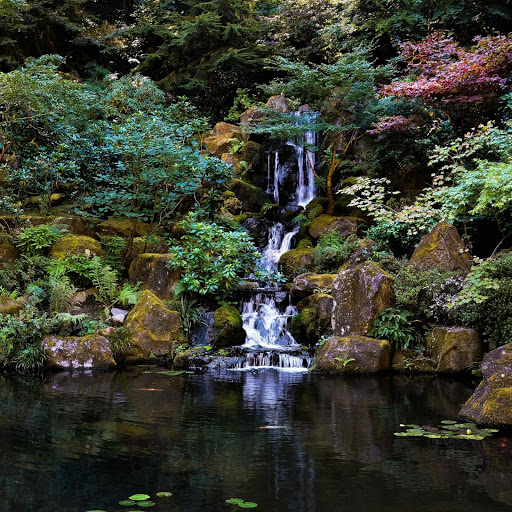 Hd-141982-ascw141982