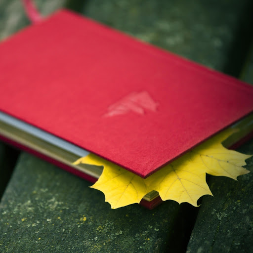 Hd-171123-ascw171123