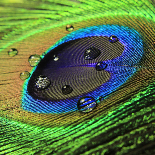 Hd-157084-ascw157084