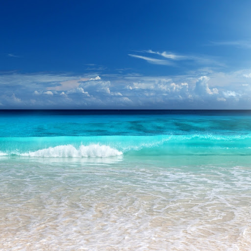 Hd-170431-ascw170431