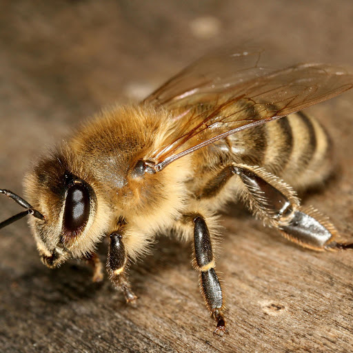 Hd-139706-ascw139706