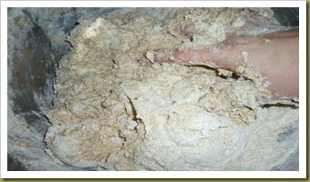 Pane integrale con pasta madre ai fiocchi d'avena (1)