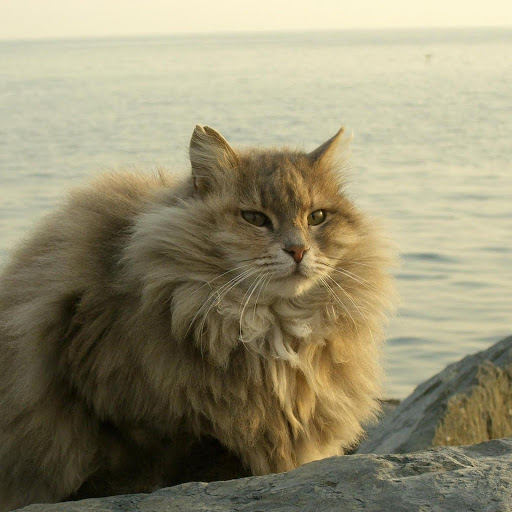 Hd-181166-ascw181166