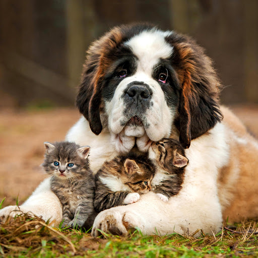 Hd-141563-ascw141563