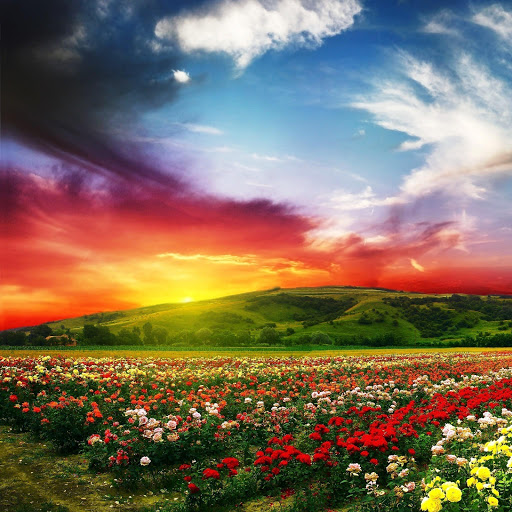 Hd-145606-ascw145606