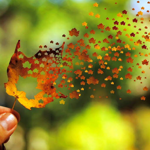 Hd-169584-ascw169584