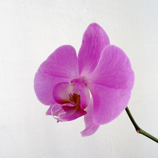 Hd-171845-ascw171845