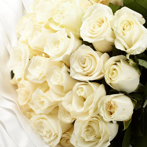 Hd-172662-ascw172662