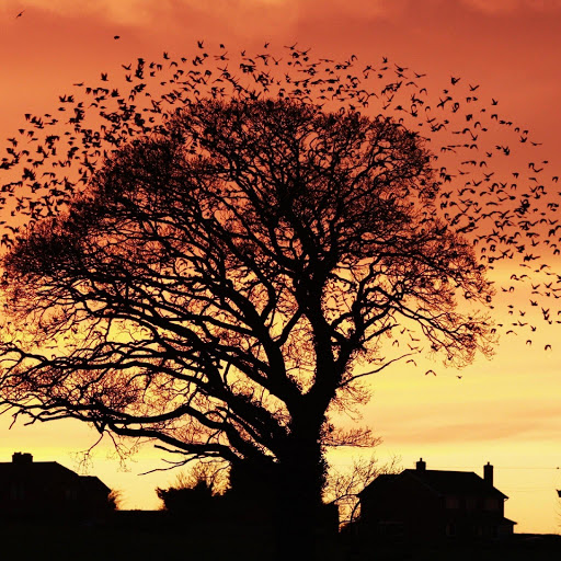 Hd-152121-ascw152121