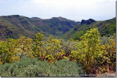 5823 Pico las Nieves-Temisas 5823 Pico las Nieves-Temisas