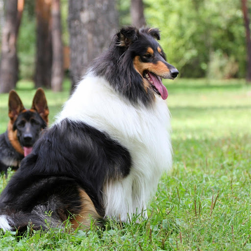 Hd-174046-ascw174046