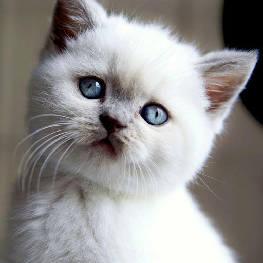 Hd-182496-ascw182496