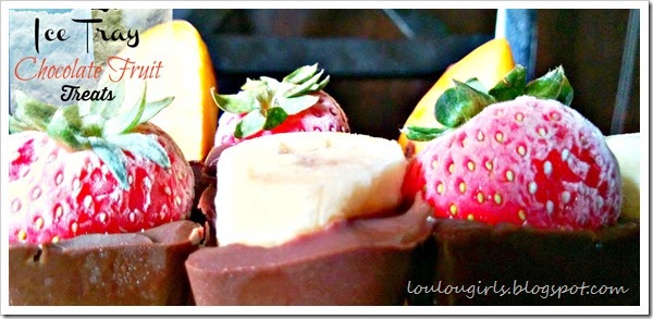 Ice Tray Chocolate Covered Fruit