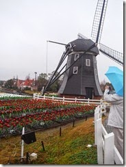 DSCF2133 DSCF2133