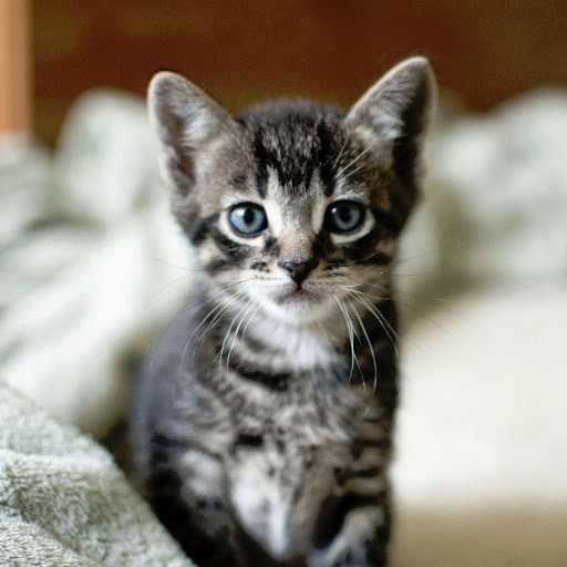 Hd-142685-ascw142685