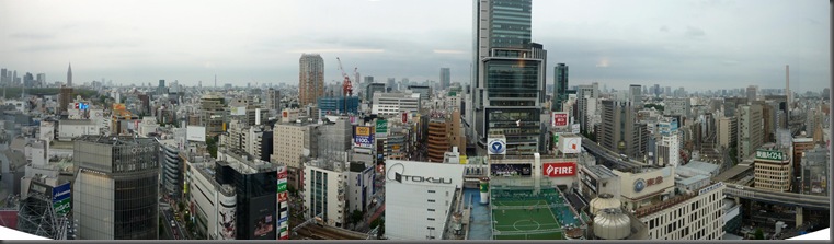 Tokyo panorama 1 small