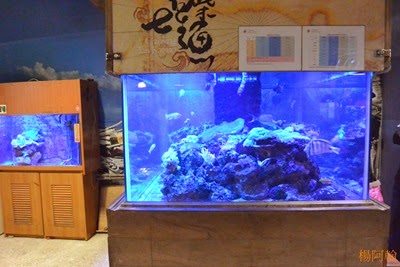 0222 277  - 七星柴魚博物館