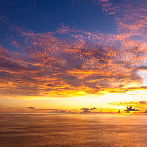 Hd-156985-ascw156985