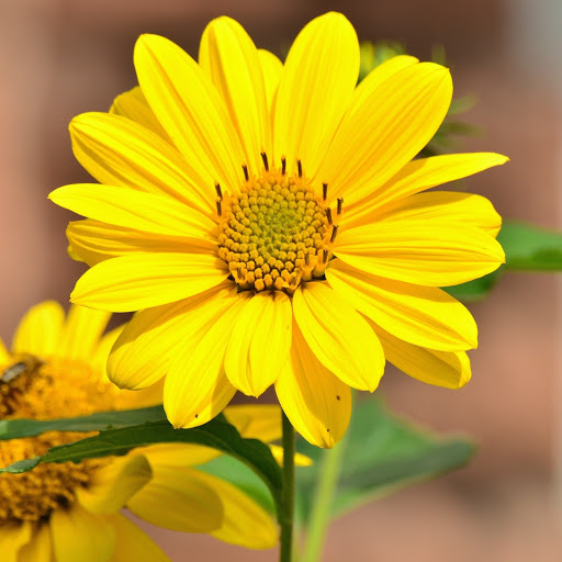 Hd-190531-ascw190531