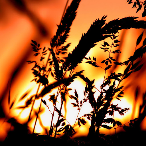 Hd-131074-ascw131074