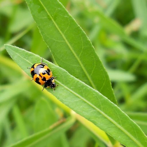 Hd-149369-ascw149369