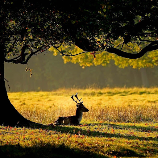 Hd-156691-ascw156691