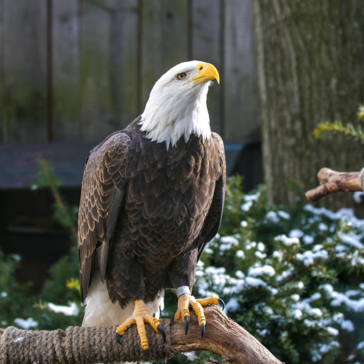 Hd-165431-ascw165431