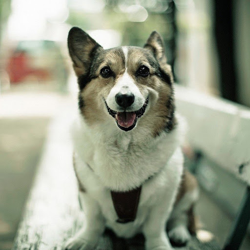 Hd-176109-ascw176109