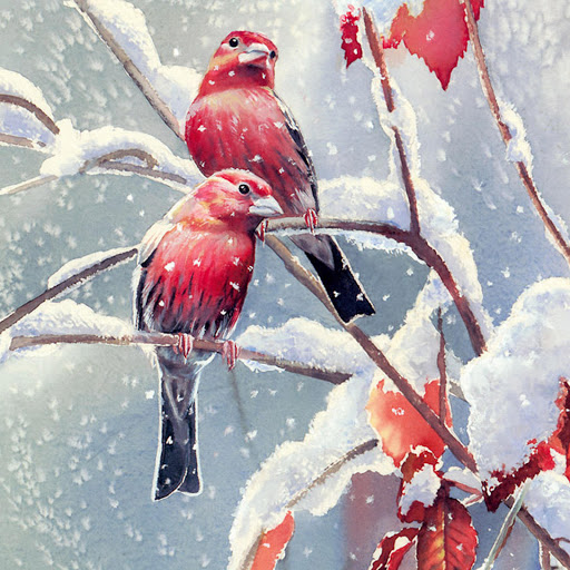 Hd-181171-ascw181171