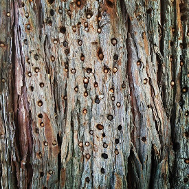 [image%255B47%255D.png]