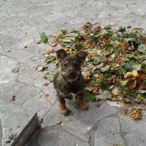 Hd-156097-ascw156097