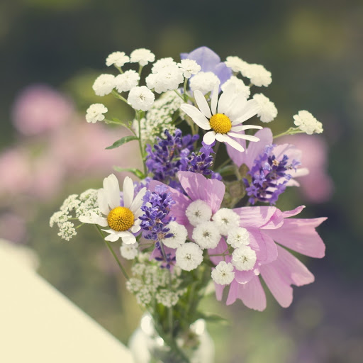 Hd-186095-ascw186095