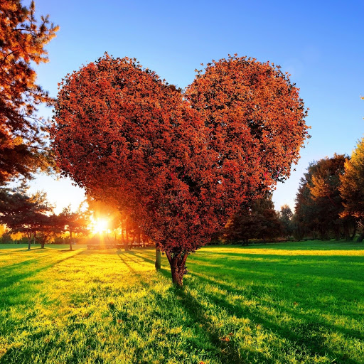 Hd-147542-ascw147542