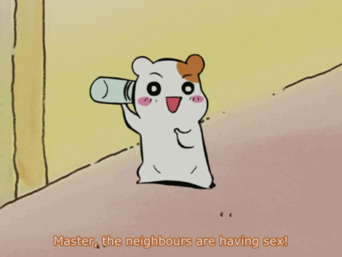 wtf-anime-hamster-sex wtf-anime-hamster-sex