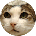 Image Google de Maria Leroy