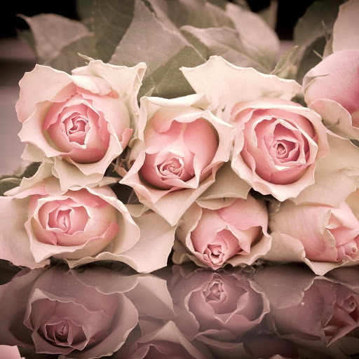 Hd-177958-ascw177958