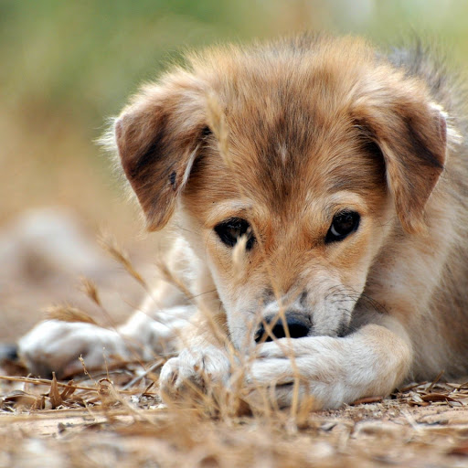 Hd-153693-ascw153693