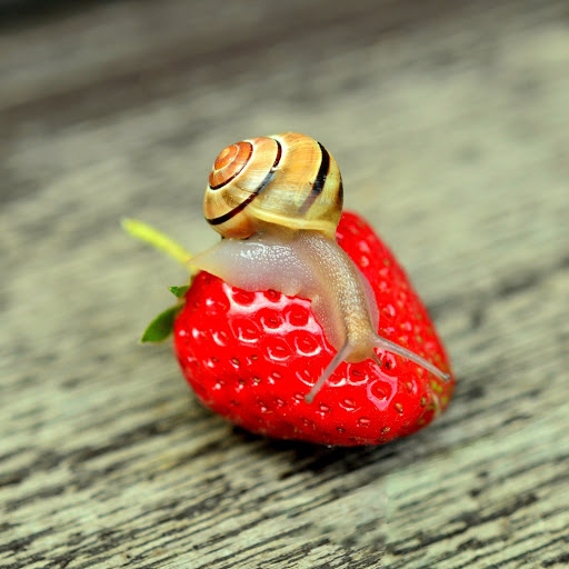 Hd-183959-ascw183959